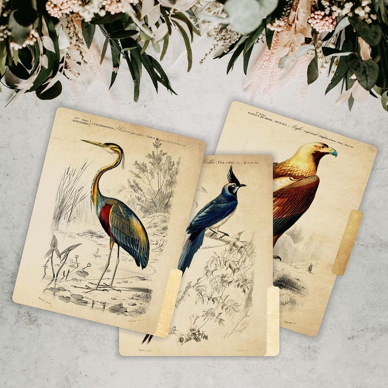 PARTH IMPEX 12 Pack Decorative File Folders, 1/3 Cut Tab with Assorted Positions, Letter Size Paper Holders (9.75” x 11.75”) Matte Finish Laminated for Office School Work - Vintage Birds Design - Image 5